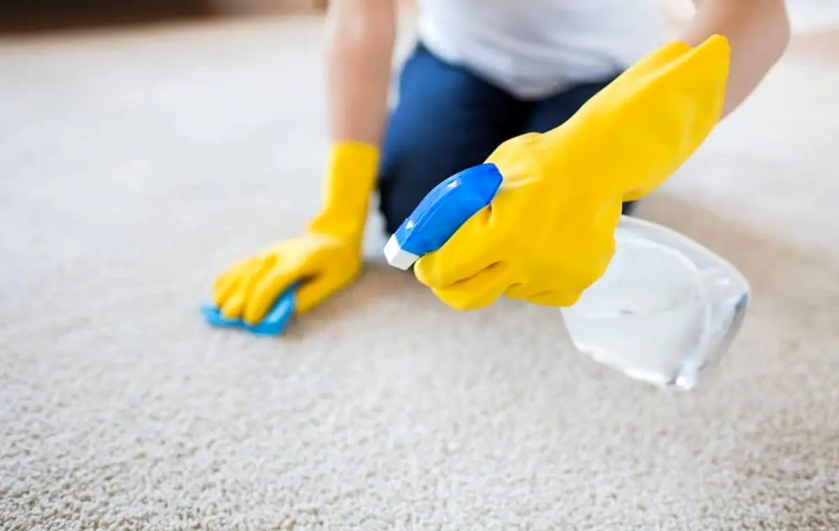 how-to-clean-your-carpets