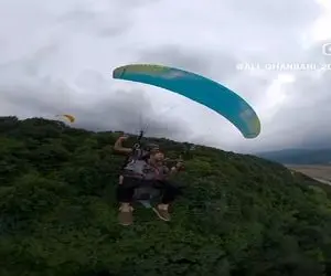 آواز اصیل؛ خواننده من یه پرنده رهایم برا اثبات حرفش تو دل آسمون خوند نازنفسش چه صدایی