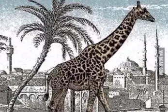 بازی فکری؛ باید بزنی تو برجک نابغه ها اگه بتونی زافه پنهون بین زرافه رو پیدا کنی