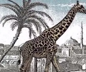 بازی فکری؛ باید بزنی تو برجک نابغه ها اگه بتونی زافه پنهون بین زرافه رو پیدا کنی