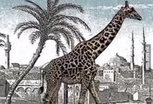 بازی فکری؛ باید بزنی تو برجک نابغه ها اگه بتونی زافه پنهون بین زرافه رو پیدا کنی