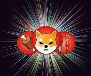 در عین ناباوری شیبااینو کنتاک کرد!