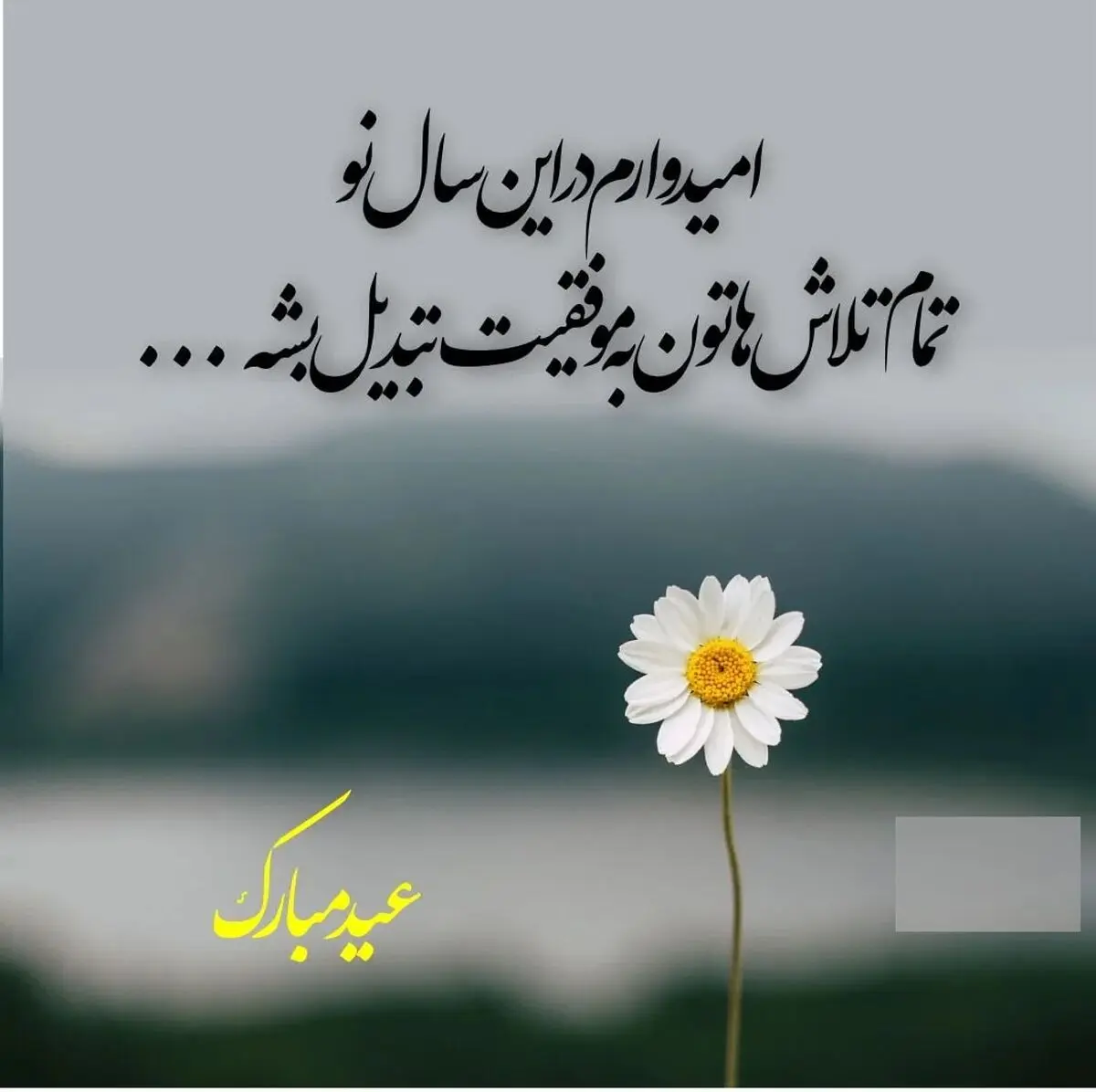 استوری4