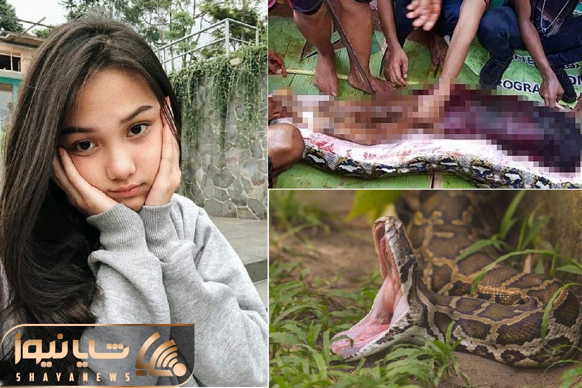 Missing woman's body found inside a python shayanews