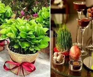 همه واسه هفت سین سبز ه میکارن مثل موهای اژدها / تو آفتابگردون و کدو بکار نازدونه بشه