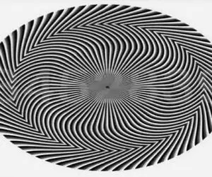 بازی فکری؛ عدد مخفی این خطای دید رو پیدا کنی چشات از یه بچه عقابم سالم تره