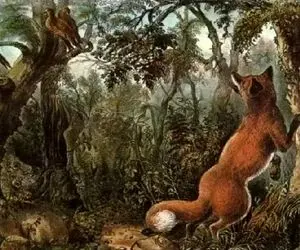 بازی فکری؛ ۹۹٪ فقط می‌توانند روباه را ببینند از شما بعید بقیه حیوانات رو پیدا کنی!