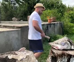 کله پاچه خورده بودیم ولی کله ماهی نه! آخه چطور میشه خورد این غذای بو گندوو؟