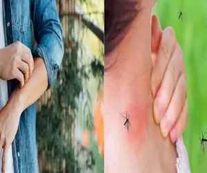 راهکارهای در امان ماندن از نیش پشه/ پشه‌ ها چرا سراغ بعضی‌ ها بیشتر می‌ روند؟