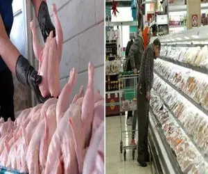 قیمت مرغ امروز سه‌شنبه ۱۵ اردیبهشت ۱۴۰۵ + جدول