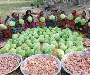 غذای روستایی؛ ببینید این خانم ها با کلم و مرغ واسه آقا هاشون چه خوردنی خواستنی می پزن