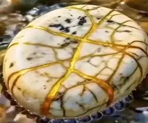 معماری طبیعت؛ سنگه بیرونش خوشگله ها ولی بعد از شکستن یه چیز دیگس نمیشه ازش چشم برداشت