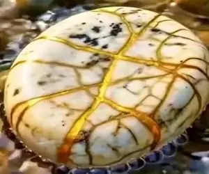 معماری طبیعت؛ سنگه بیرونش خوشگله ها ولی بعد از شکستن یه چیز دیگس نمیشه ازش چشم برداشت