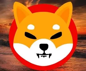 پیش بینی مهم از شیبااینو آیا امیدی هست؟