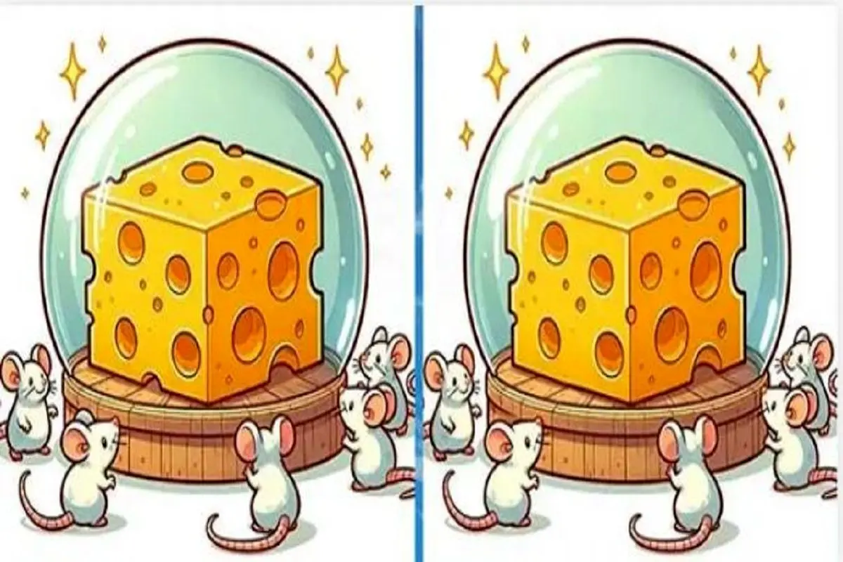 بازی فکری؛ پیدا کردن تفاوت های تصویر موش و پنیر انقد سوسکی و ریزه به سختی میشه فهمید