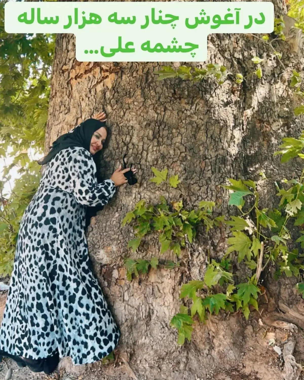 ladyrain.baharehrahnama_290904141_417144953808917_1052736208448467753_n