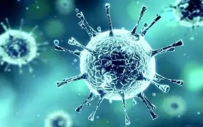 هشدار شیوع ۳ ویروس در ایران