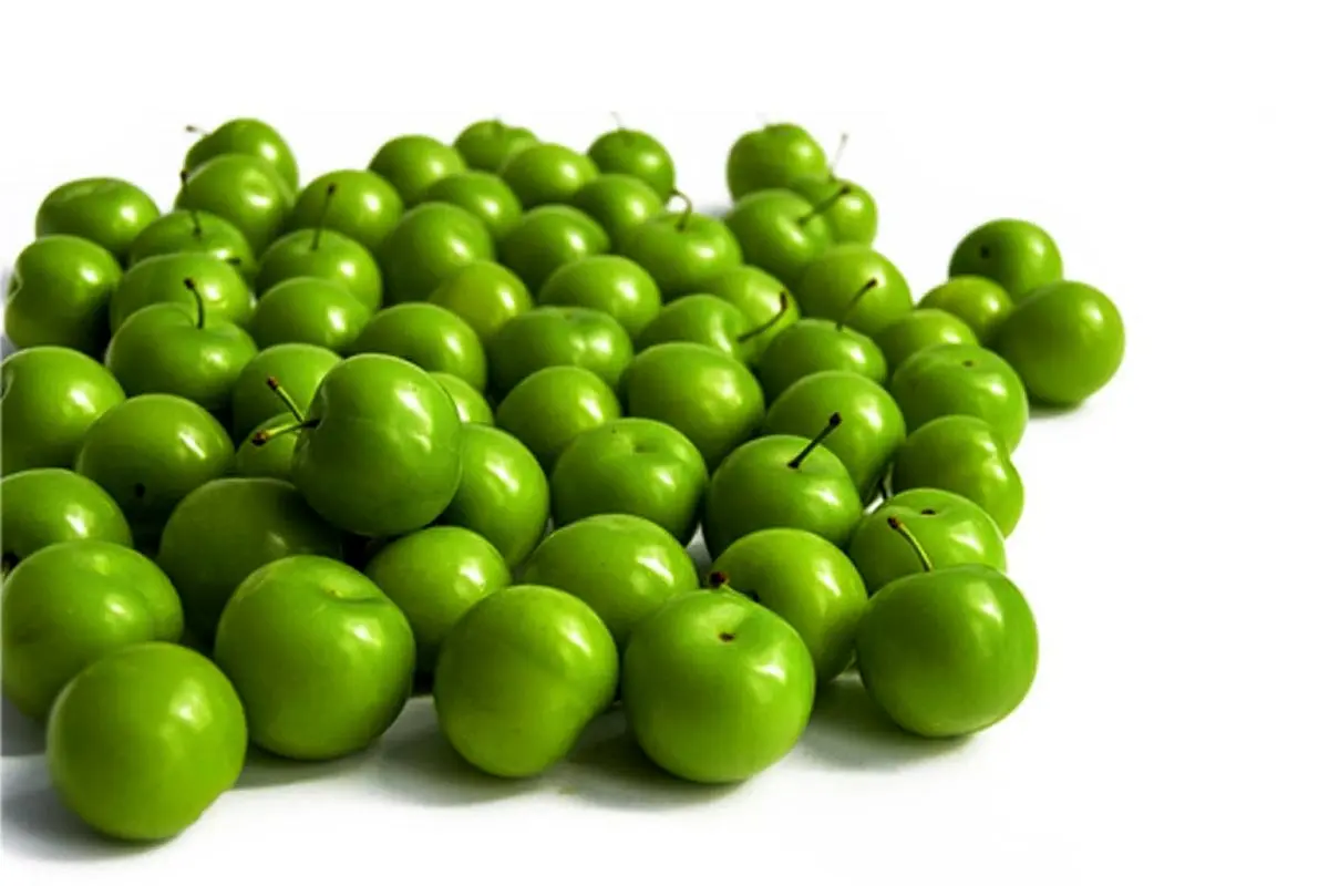 گوجه-سبز-اصلی-1536x1025