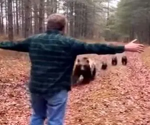 معماری طبیعت؛ خرس رفیقشو که آدمه دید توله هاشو یادش رفت یه احوالپرسی کرد جانانه