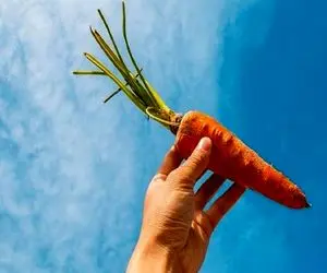 (عکس) زن جوانی که انقدر هویج خورد تا کاملا نارنجی شد!