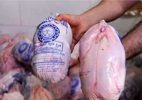 قیمت مرغ امروز چهارشنبه 13 خرداد 1405 + جدول