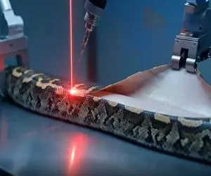 فرآوری مار؛ با لیزر پوست مار رو بدون دور ریز درآووردن باهاش یه کیف و کفش دوختن مشتی