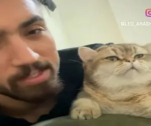 آواز شاد؛ پسر برا گربه مغرورش آهنگ خوند لعنتی تو نگاهش خب که چی موج میزنه طرف معذب شد