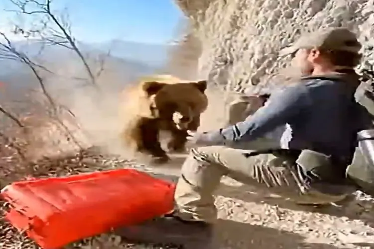 معماری طبیعت؛ مرد با حمله خرس قبله شو گم کرد ولی...
