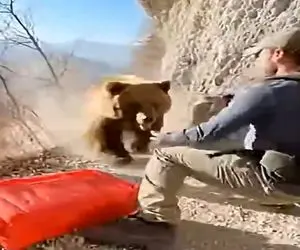معماری طبیعت؛ مرد با حمله خرس قبله شو گم کرد ولی...
