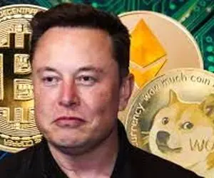 ناگفته هایی از ایلان ماسک