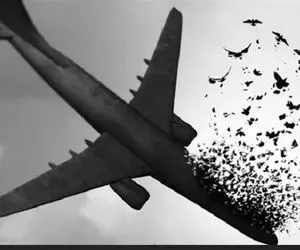 پرونده هواپیمای اوکراینی به دادگاه می ‌رود