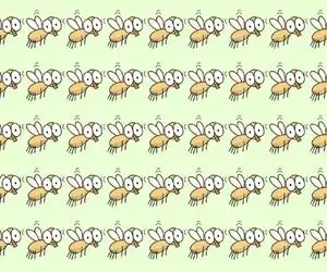 تست هوش تصویری؛ اگه میخوای هوش و زکاوت خودت رو به رخ بکشی تو سیم ثانیه تست و حل کن!