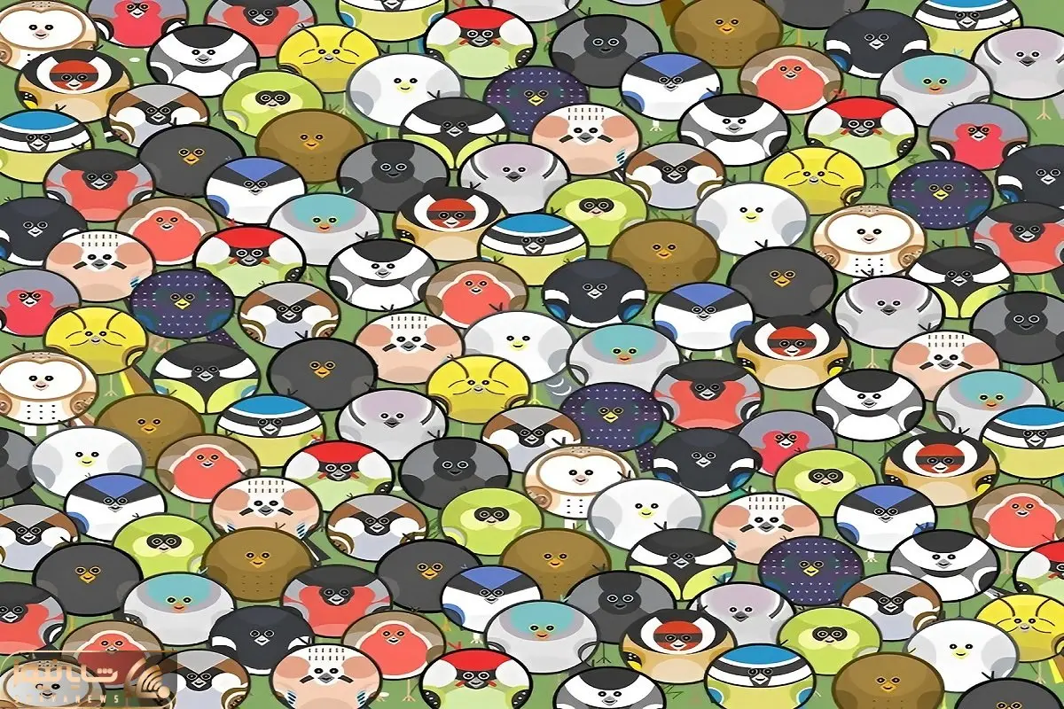 بازی فکری؛ کرم خاکی از ترسش بین پرنده ها استتار کرده پیداش کنی بیناییت حرف نداره