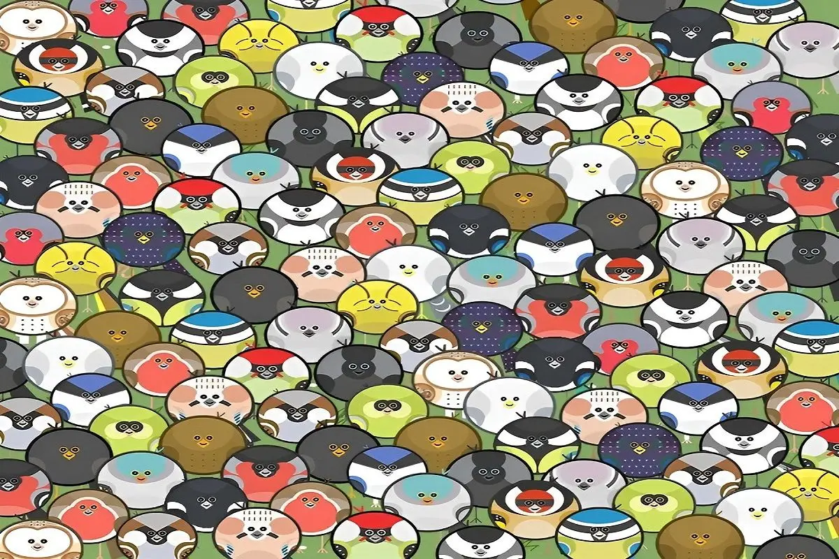 تست-بینایی-یافتن-کرم-خاکی-میان-پرندگان