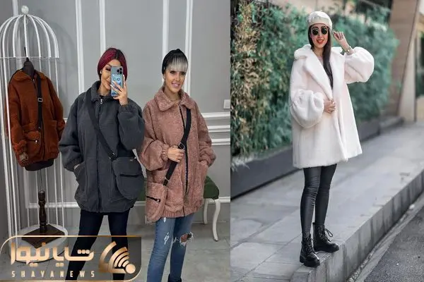 پالتو تدی، پالتوهای ترند 2023