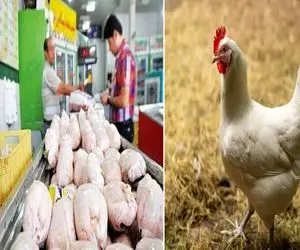 قیمت مرغ امروز شنبه ۱۲ اردیبهشت ۱۴۰۵ + جدول