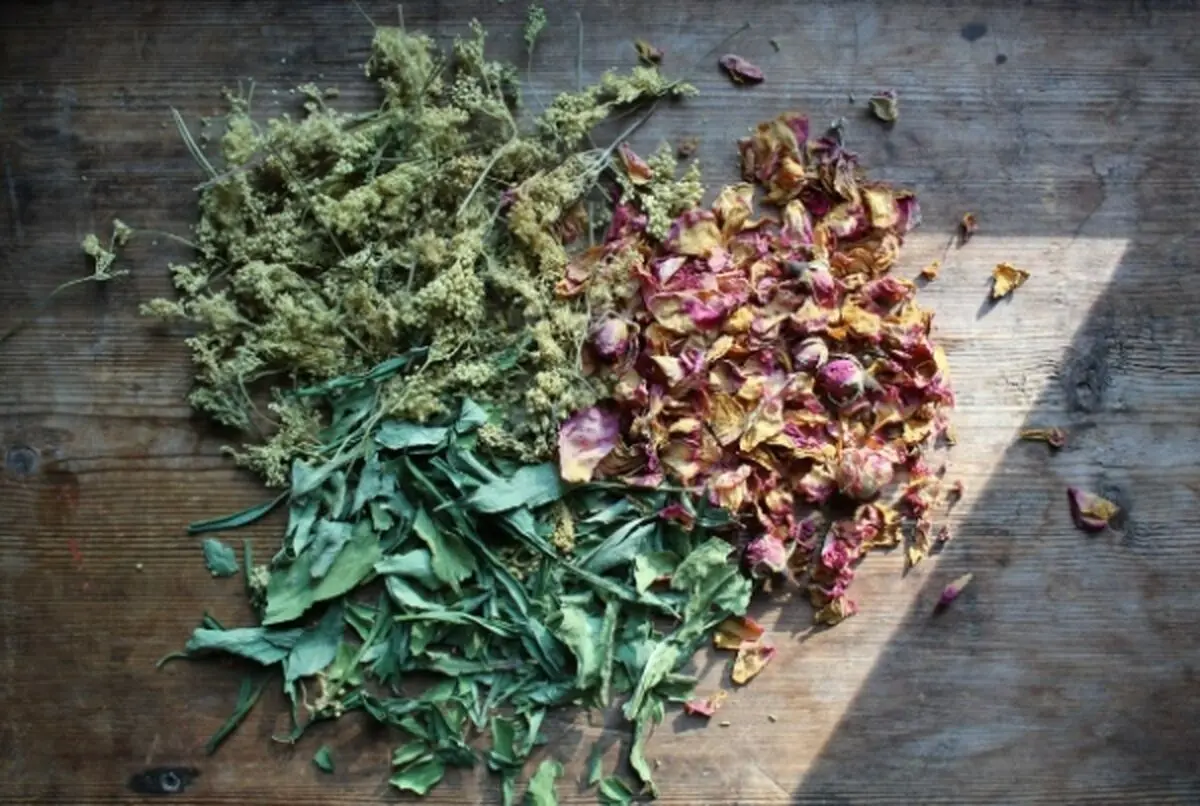 نگهداری-سبزی-خشک-2