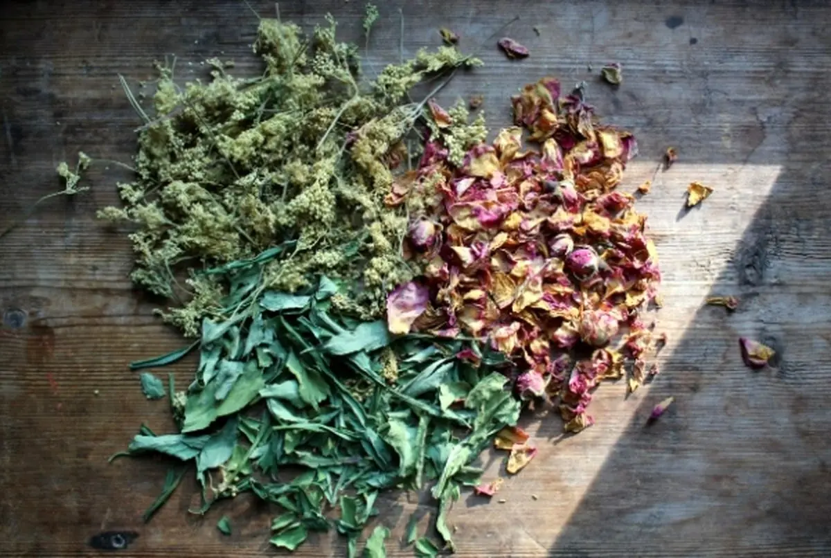 نگهداری-سبزی-خشک-2