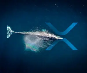 شاهکاری جدید از نهنگ های ناشناس ریپل!