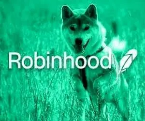 خبری از ستاره شیبااینو؛رابین هود!