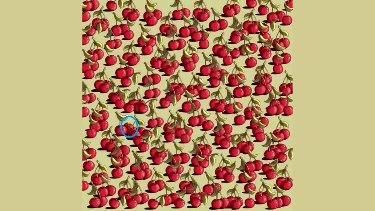 پاسخ-تست-بینایی-یافتن-گوجه-فرنگی-بین-گیلاس_ها