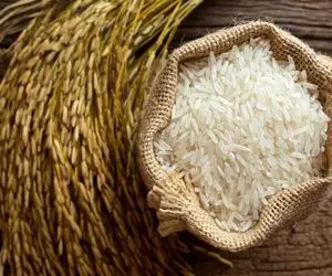 قیمت انواع برنج امروز یکشنبه 19 اردیبهشت 1400