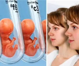 کلون‌سازی، راز بارداری تک نفره! وقتی DNA جای رابطه را می‌گیرد! 