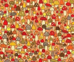 بازی فکری؛ فقط ۱٪ از تیزبین‌ترین چشم‌ها می‌تونن موش رو بین انباری از قارچ پیدا کنن