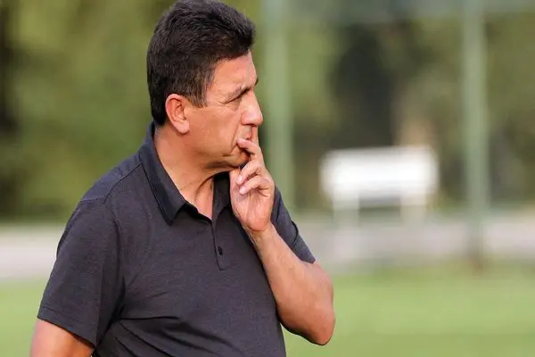 امیر قلعه نویی