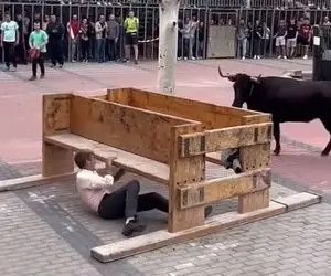 دامپروری نوین؛ یارو یه تختش کمه با گاو شاخ دار درافتاده گاو پیگیره بزنه لت و پارش کنه