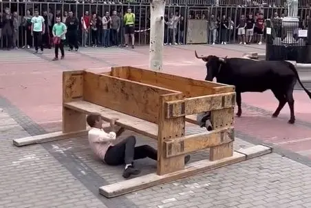 دامپروری نوین؛ یارو یه تختش کمه با گاو شاخ دار درافتاده گاو پیگیره بزنه لت و پارش کنه