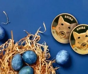 رهبر شیبااینو جنجال به پا کرد!