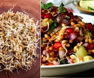 آموزش مرحله به مرحله تهیه جوانه گندم / یه ماده غذایی فوق العاده رو در منزل درست کن