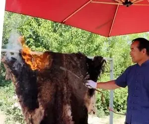 غذای متفاوت ؛ غذای هاج و واج کننده از پوست گاومیش / واقعا این دیگه آخرشهه